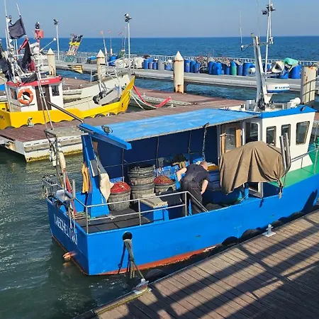 Oliwkowa Przystan דירה מחלינקי