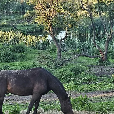 Appartamento Oliwkowa Przystan Mechelinki