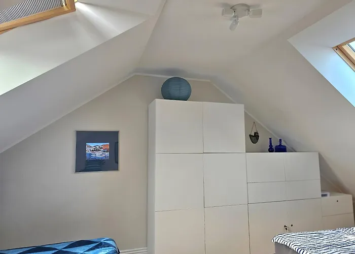 Oliwkowa Przystan Mechelinki