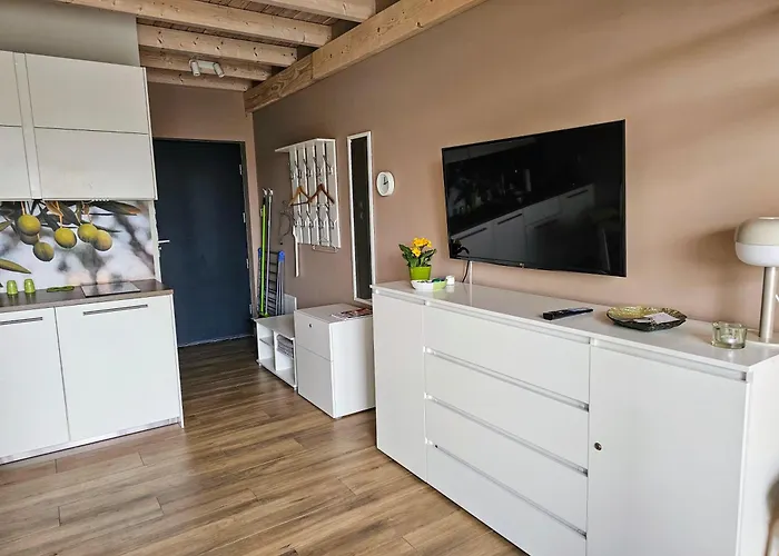 Oliwkowa Przystan * Mechelinki